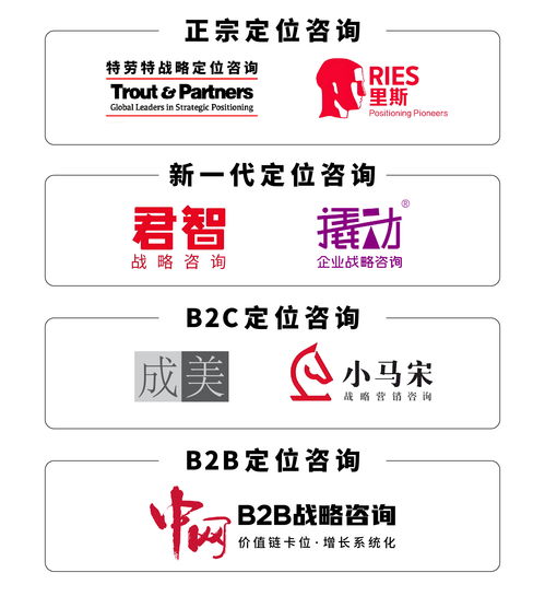 戰(zhàn)略咨詢與技術(shù)開發(fā)雙輪驅(qū)動 解鎖企業(yè)高效決策實(shí)戰(zhàn)路徑